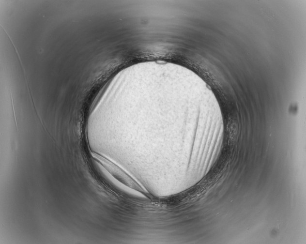 X0000098230546200805221713