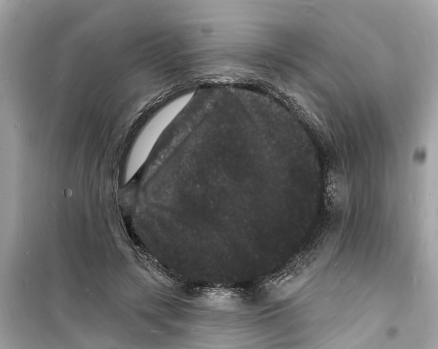 X0000098230547200805221713