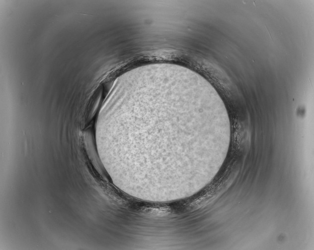 X0000098230548200805221713