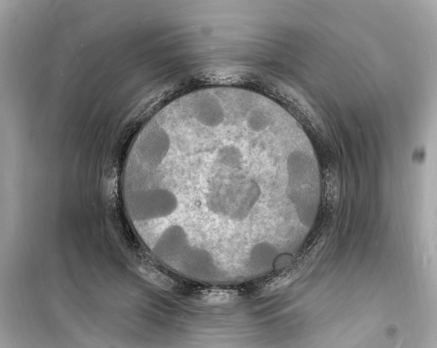 X0000098230549200805221713