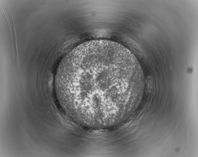 X0000098230550200805221713