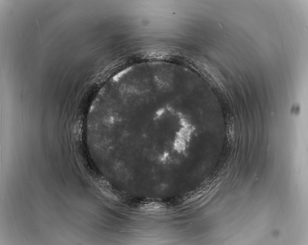 X0000098230551200805221713