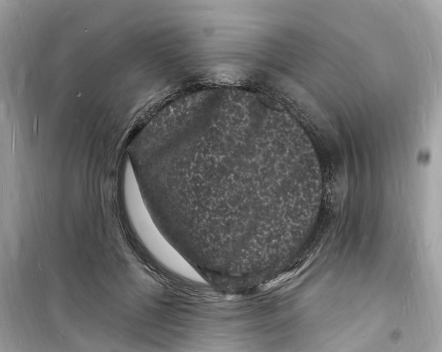 X0000098230552200805221713