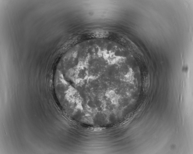 X0000098230553200805221713