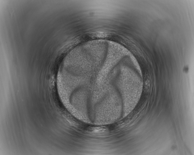 X0000098230555200805221713