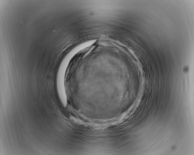 X0000098230556200805221713