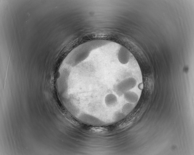 X0000098230557200805221713