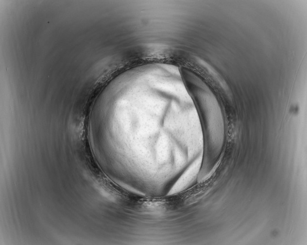 X0000098230560200805221713