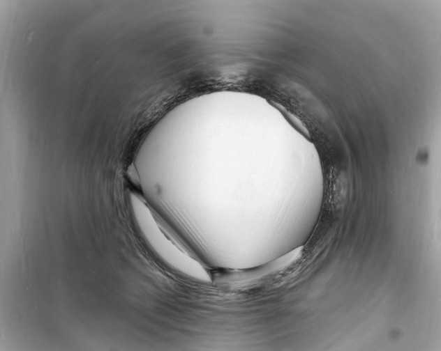 X0000098230562200805221713