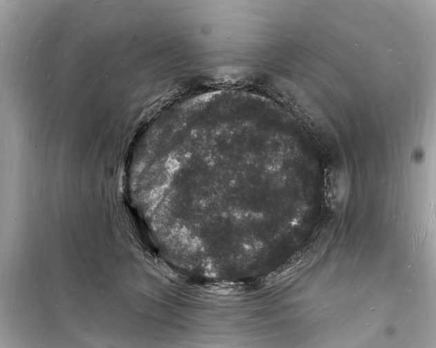 X0000098230563200805221713