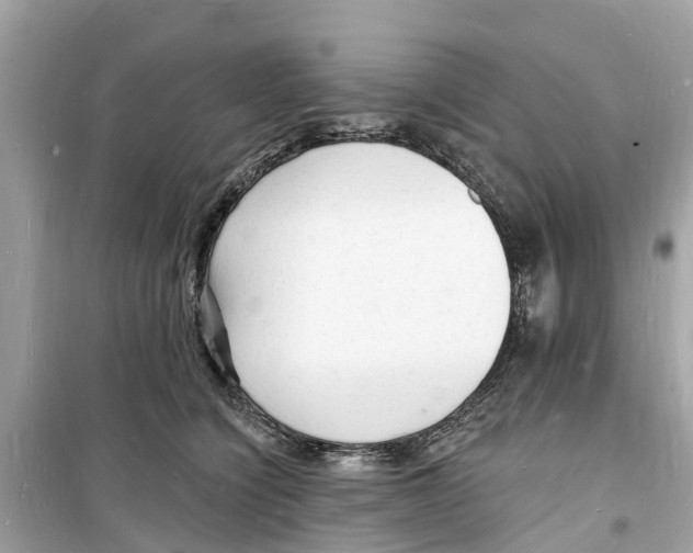 X0000098230564200805221713