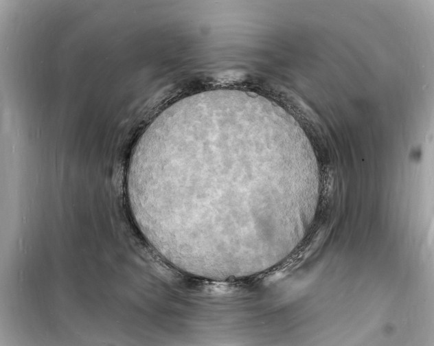 X0000098230565200805221713