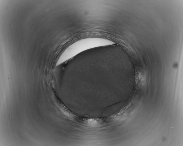 X0000098230566200805221713