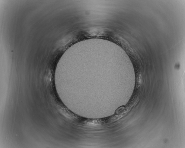 X0000098230567200805221713