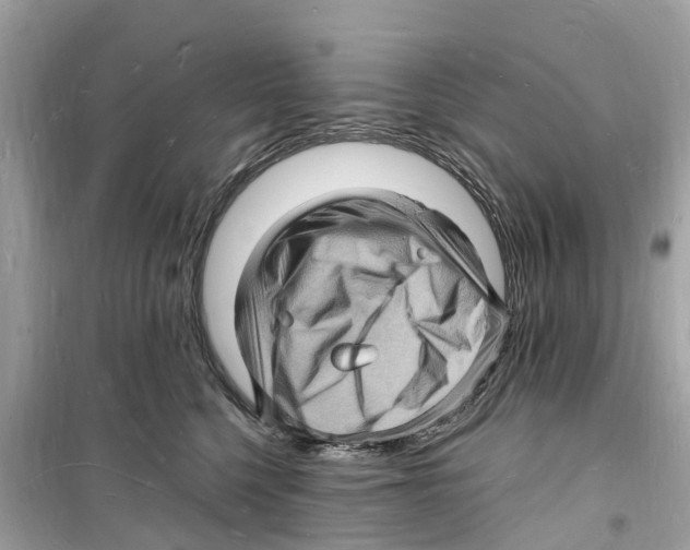 X0000098230568200805221713