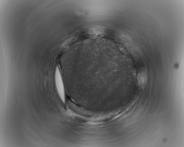 X0000098230570200805221713