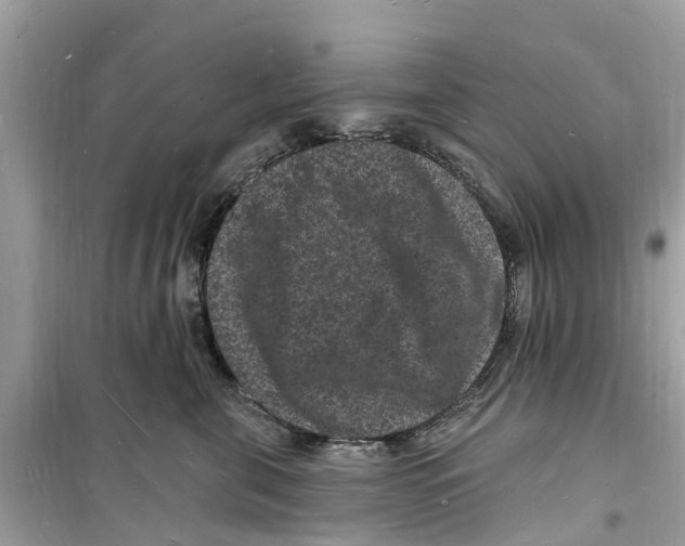 X0000098230571200805221713