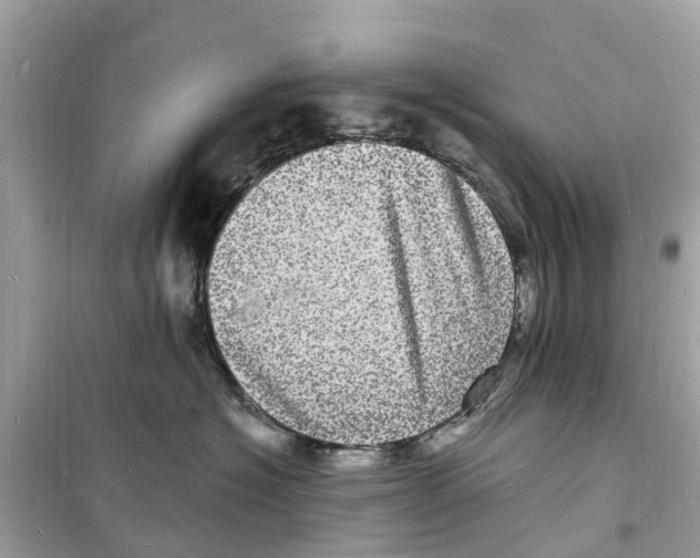 X0000098230574200805221713