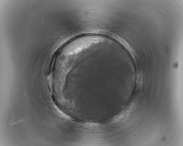 X0000098230577200805221713