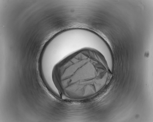 X0000098230581200805221712