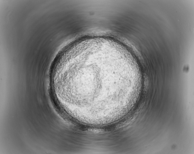 X0000098230582200805221712