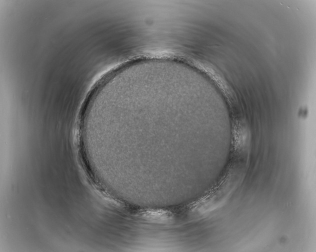 X0000098230583200805221712