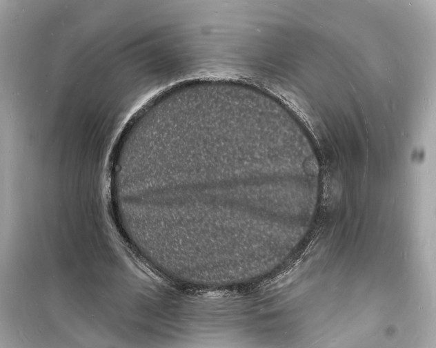 X0000098230584200805221712