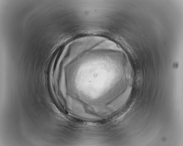 X0000098230585200805221712