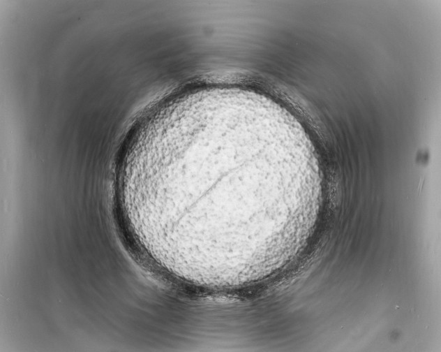 X0000098230586200805221712