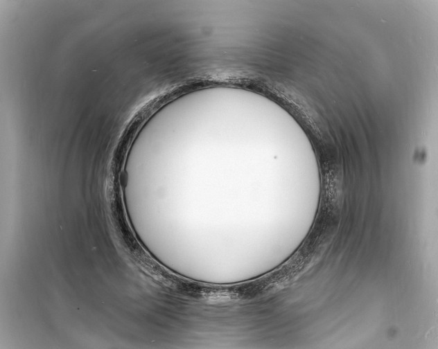 X0000098230587200805221712