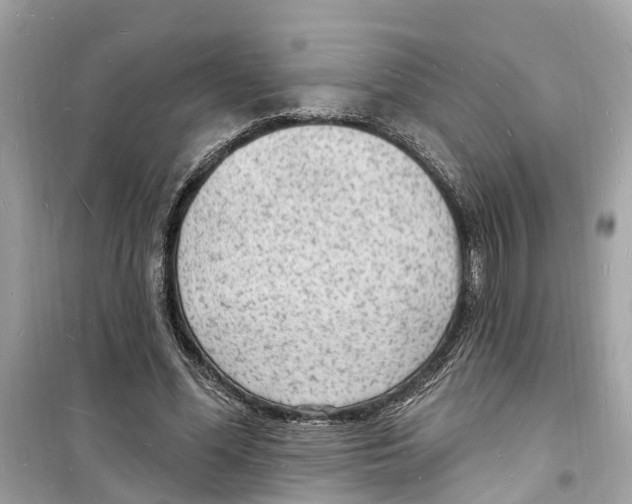 X0000098230588200805221712