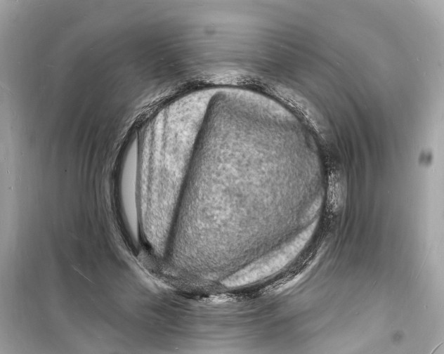 X0000098230589200805221712