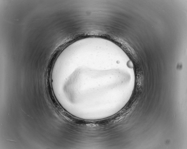 X0000098230591200805221712