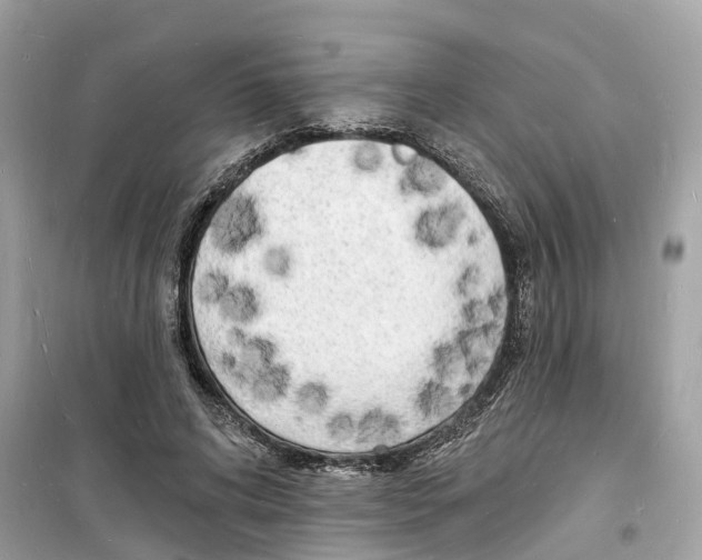 X0000098230592200805221712