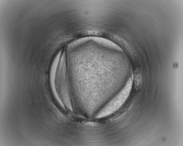 X0000098230593200805221712