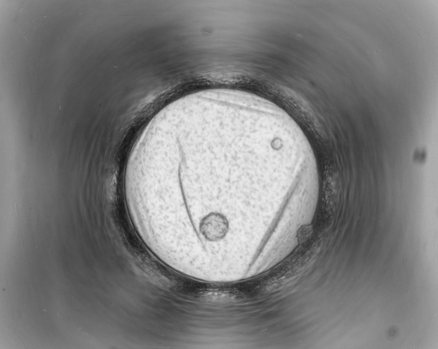 X0000098230596200805221712