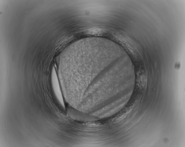 X0000098230597200805221712