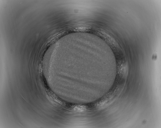 X0000098230599200805221712