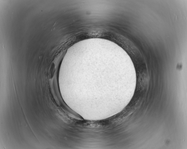 X0000098230601200805221712