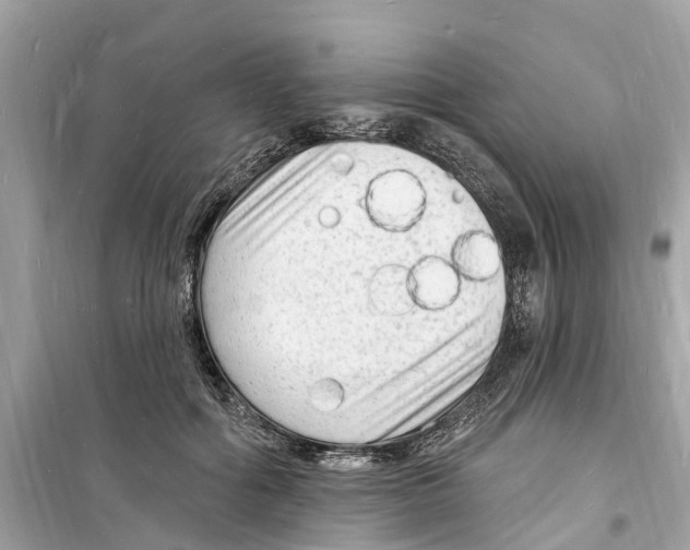 X0000098230602200805221712