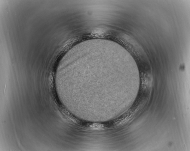 X0000098230603200805221712