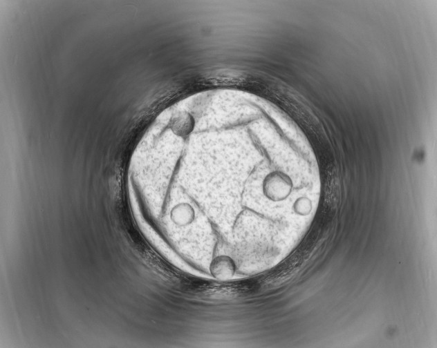 X0000098230604200805221712