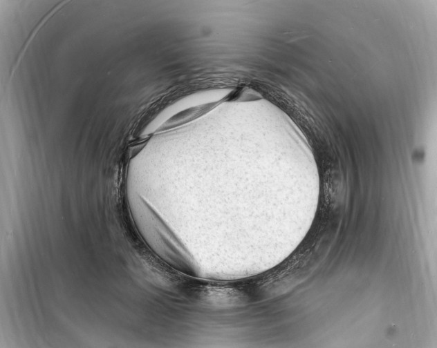 X0000098230605200805221712