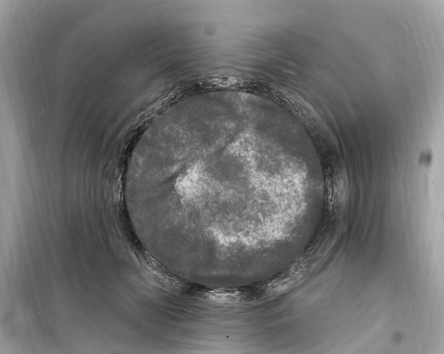 X0000098230606200805221712