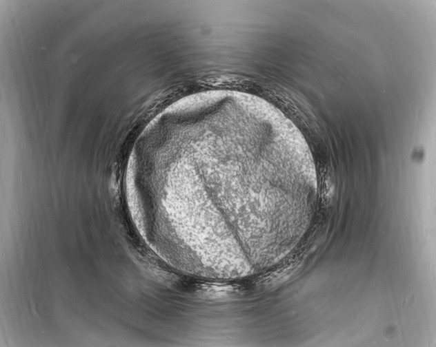 X0000098230607200805221712