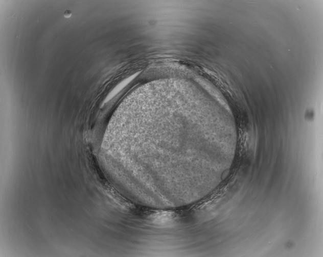 X0000098230609200805221712