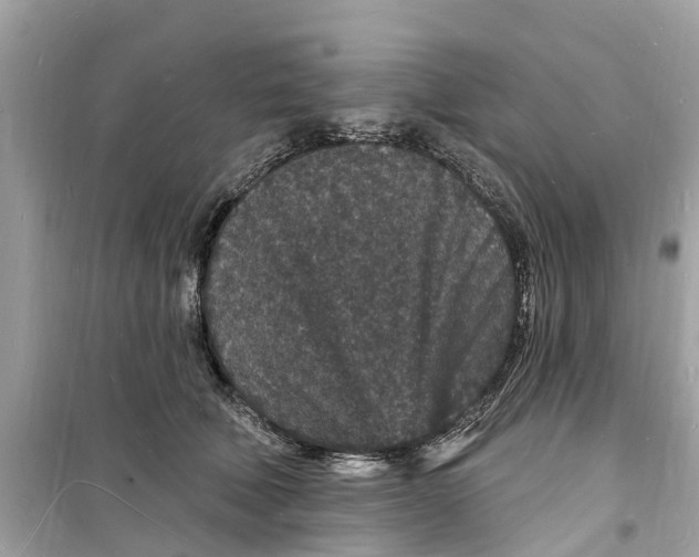 X0000098230610200805221712