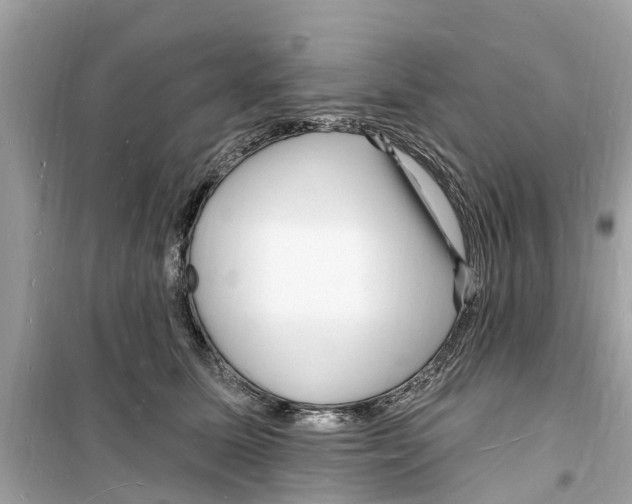 X0000098230611200805221712