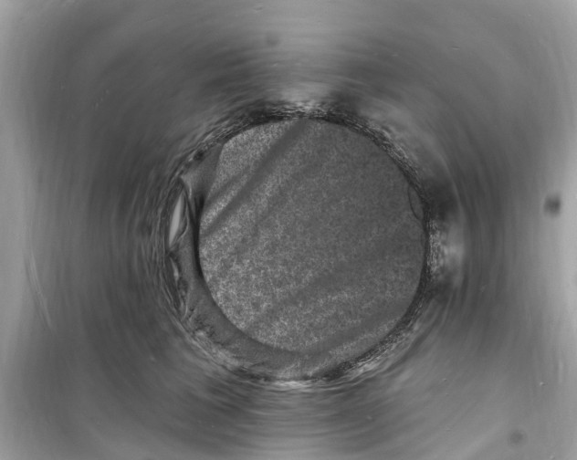 X0000098230613200805221712