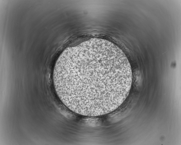 X0000098230615200805221712